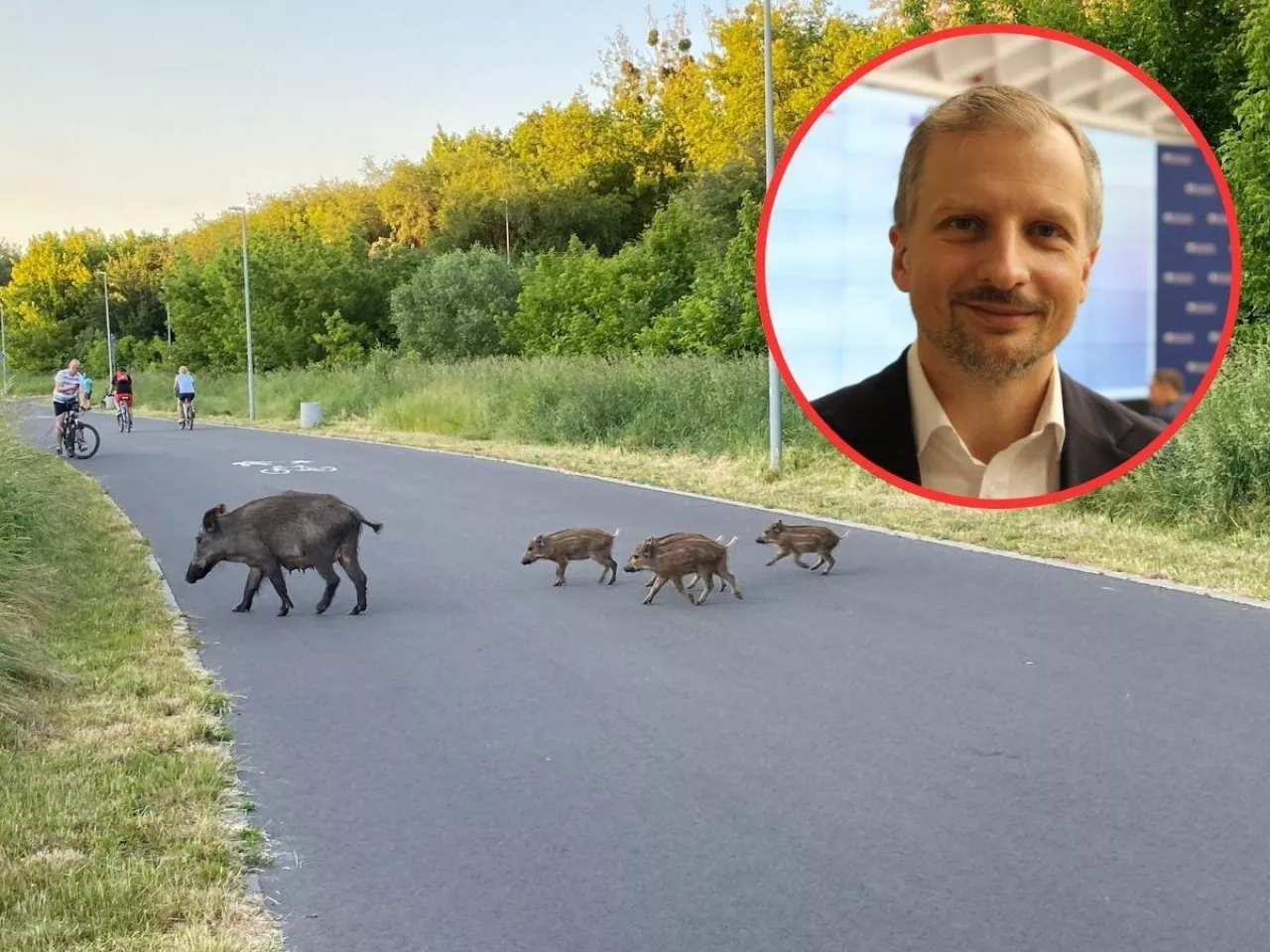 Zakaz polowań na terenie lasów społecznych? MKiŚ wyjaśnia