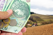 Co grozi rolnikowi, gdy ARMiR stwierzi niezgodność w hektarach zgłoszonych do dopłat obszarowych?