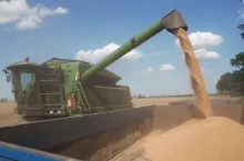 Wysyp zboża z kombajnu na przyczepę