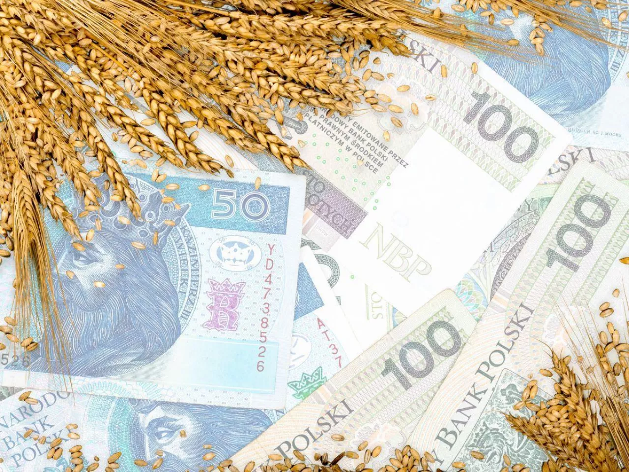 ARiMR wypłaca dopłaty do zakupu materiału siewnego. Ile pieniędzy wpłynęło dotychczas na konta wnioskujących?
