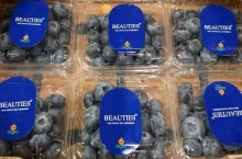 Borowki prezentowane na Fruit Logistica 2025