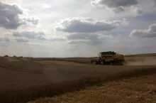 Żniwa w pochmurny dzień