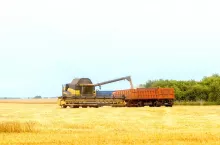 kombajn, żniwa, zboże, pszenica, ciężarówka, rolnictwo