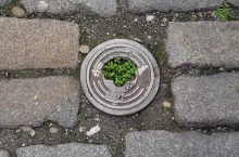 Remont kanalizacji bez zgody: czy rolnik może się sprzeciwić?