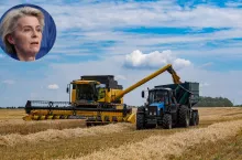 Traktor Belarus 82 z przyczepą odbiera zboże z kombajnu na polu w trakcie żniw. Na zdjęciu widoczna twarz przewodniczącej Komisji Europejskiej Ursuli von der Leyen