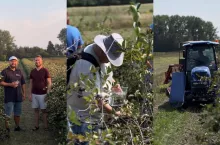 Samozbiory aronii 2025 już w najbliższą niedzielę!