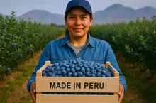 Grafika przedstawia postać rwacza prezentującego borówki w małej skrzynce z napisem Made in Peru
