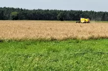 Udział gospodarstw oddających ziemię w dzierżawę, w gospodarstwach do 5 ha wzrósł z 17% w 2011 r. do 38% w 2020 r. Z kolei pośród gospodarstw o powierzchni 10–15 ha użytkujących ziemię własną i dzierżawioną, udział dzierżaw wzrósł z 22% w 2011 r. do 46% w 2020 r., a o pow. 15–20 ha z 34% do 62%