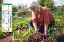 Kalendarz biodynamiczny na wrzesień 2025: co sadzić i zbierać w ogrodzie?