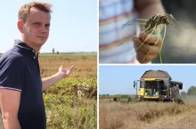 Żniwa pod wodą. Rolnicy próbują ratować zboże. ”Straciłem 270 tys. zł” [WIDEO]