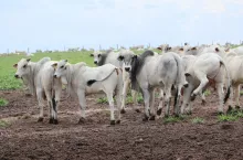 Wyjazdy studyjne z Top Agrar