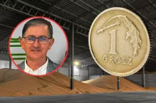 Dramat na rynku zbóż. Rolnicy walczą o 1060 zł za pszenicę