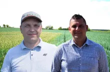 Jak wygrać z wyczyńcem polnym? Rolnicy z Warmii i Mazur mają sposoby