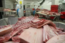 Wieprzowina, ZM Czarnków