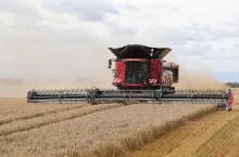 598223