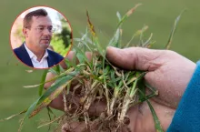 Dopłaty do odszkodowań i nowych funduszy? Szykują się duże zmiany dla rolników