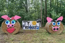 dożynkow witacze ze słomy przedstawiające świnki