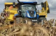 Zbiór ziemniaków w Potęgowie