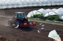 Rolnicy stracą dopłaty i ziemię? Nowe przepisy pod ostrzałem