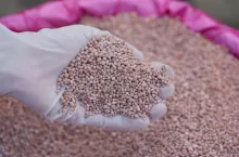 rynek nawozów potasowych