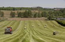 Dzierżawa gospodarstwa a VAT i podatki: na co musi uważać rolnik przed przekazaniem ziemi?