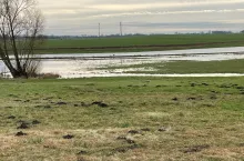 zalane łąki i pastwiska styczeń 2024 po mokrej jesieni i zimie zalane użytki zielone