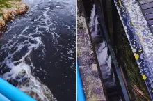 Dlaczego woda zalewa łąki rolników z Podlasia?