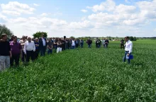 Wysoka frekwencja podczas spotkania poświęconego uprawie owsa zorganizowanego w gospodarstwie pod koniec maja świadczy o tym, że rolnicy szukają alternatywy i obserwując wzrost zainteresowania owsem sektora spożywczego zaczęli coraz bardziej interesować się uprawą owsa ozimego. W arkana agrotechniki owsa ozimego wprowadzał rolników dr Marek Reich