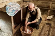 Czy renty rolnicze dorównają emeryturom ZUS?