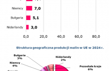 produkcja malin ww Polsce
