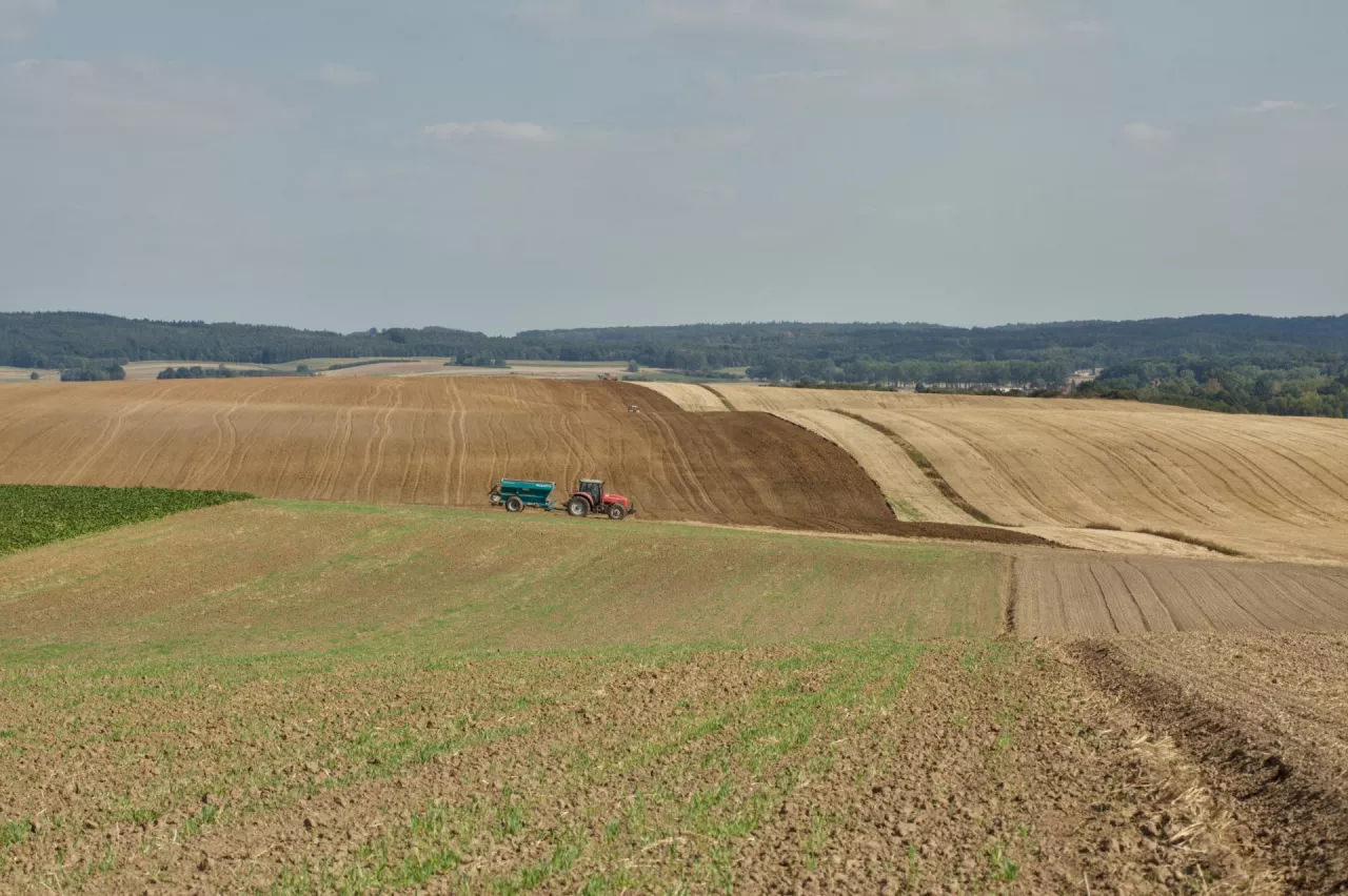 Obsiałeś grunt po wygaśnięciu dzierżawy z KOWR? Sprawdź, czy możesz zebrać plony!