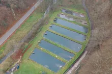 Najgorsza susza od lat. Straty trzeba szacować nawet w stawie