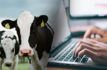 IRZplus na nowych zasadach. Ministerstwo wydłuża ważny termin