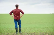 Szynka za 45 zł, a rolnik dostaje 6 zł. Cała prawda o cenach żywności