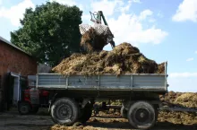 obornik
