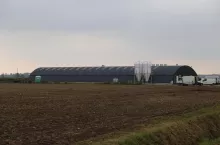 tuczarnia w hali łukowej, Wojciech Styburski