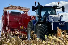 Kombajnowy zbiór ziemniaków