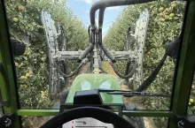 defoliacja lisci w sadzie