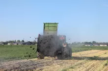 Wywóz rozrzutnikiem obornika na pole