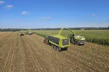 600493