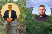 Dramat na Żuławach