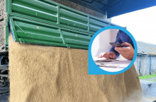 zboże, przyczepa, kalkulator