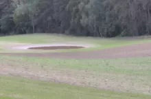 Jak idą siewy ozimin? Raport z regionów