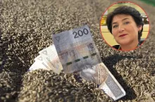 Producenci zbóż apelują do prezydenta