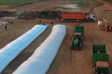 Polscy rolnicy, prowadzący gospodarstwo rolne w Zambii, magazynują kukurydzę w rękawach foliowych