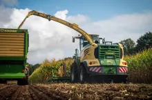 Nowa sieczkarnia Krone BiG X 860 – 843 KM w rzędowej ”szóstce”, kosi i jednocześnie mulczuje kukurydzę, fot. Łukasz Siara