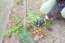 Nie czekaj do wiosny. Jesienią zrób ten zabieg, a gleba odwdzięczy się plonem