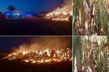 Pożar słomy i złote kolby