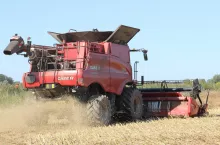 30 września Główny Urząd Statystyczny przedstawił wstępne szacunki produkcji głównych upraw rolnych w 2025 r.