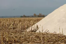 wapno, resztki pożniwne,